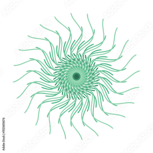 Light blue Abstract Teal and Green Organic Radial Mandala Vector