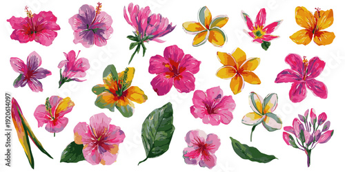 Vibrant watercolor tropical flowers collection diverse exotic blooms isolated for floral design projects isolated on transparent background