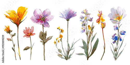 Vibrant watercolor collection of tropical exotic flowers in a variety of colors and shapes. 2026 new collection 