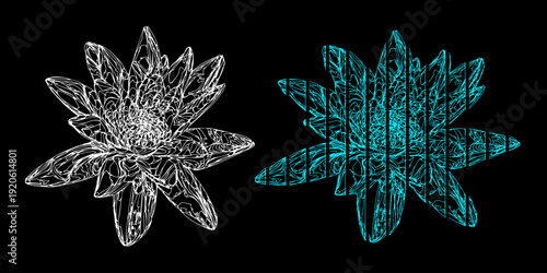 Minimal Stroke Line Water Lily – Deconstructed Botanical Illustration