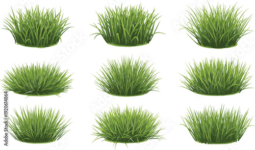 Realistic green grass bush tuft collection with different lawn plants isolated natural vector illustration set.