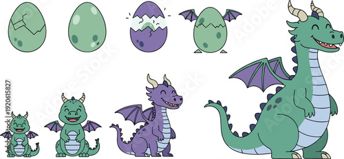 Cute dragon life cycle set from egg to adult fantasy creature cartoon character flat vector illustration for children education.