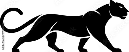 Panther - Vector illustration