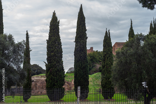Wallpaper Mural Cypress Trees and Ancient Brick Ruins on Palatine Hill in Rome Under a Cloudy Sky Torontodigital.ca