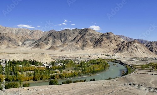 Indus river in Ladakh, with treelined riverbanks and cold mountain desert landscape near leh, in the Himalaya in Autumn