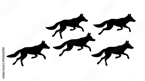 Dynamic pack of wolves captured in mid-stride against a stark white background