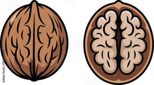 A walnut and a human brain side by side with similar patterns and textures
