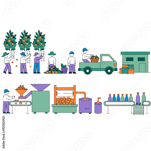 Modern fruit harvesting process and juice production factory line, workers picking oranges in orchard and industrial bottling plant flat art