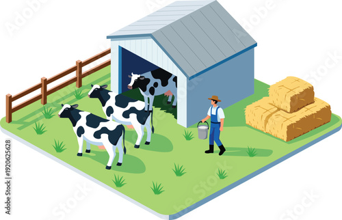 Isometric dairy farm illustration featuring cows near a barn, a farmer working outdoors, wooden fence, green grass field, and stacked hay bales. Modern flat vector design isolated on light background.