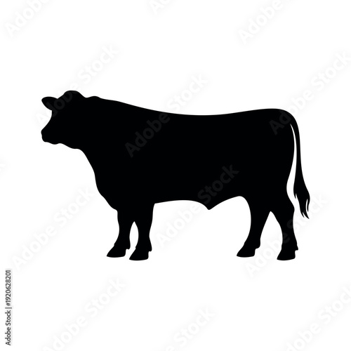 Black angus cattle silhouette vector flat design isolated on white background.