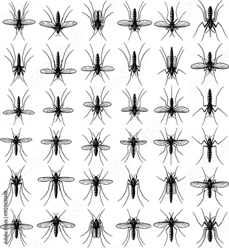 Mosquito silhouette icon grid, detailed flying insect pest collection isolated, black white entomology flat vector illustration design