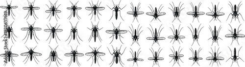 Mosquito silhouette collection set, flying insect vector icons isolated, detailed black white entomology illustration, minimal flat design