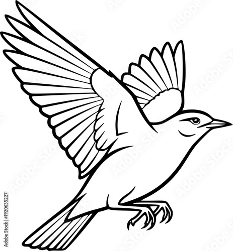 skylark silhouette line art vector illustration with a white background