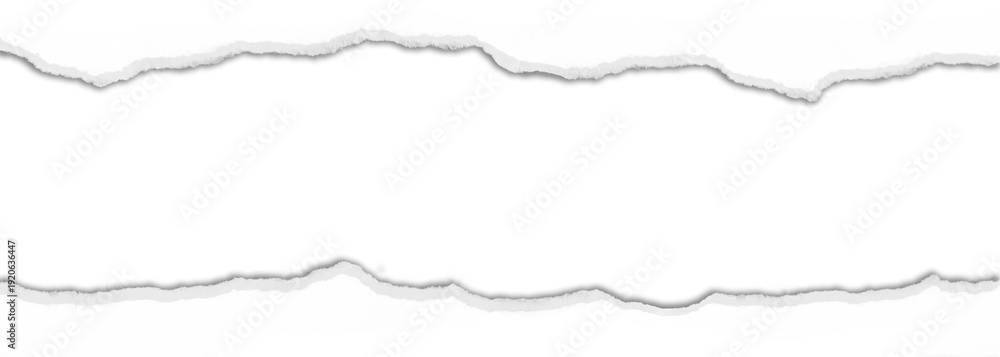 Fototapeta premium Realistic torn paper with shadow effect isolated on transparent background.