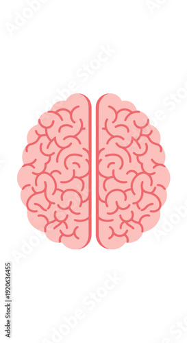 Simple flat design illustration of a human brain with two pink hemispheres on a white background.