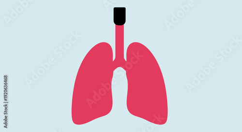 A simple, stylized illustration of human lungs in a vibrant pink color with a black trachea on a light blue background, representing the respiratory system.