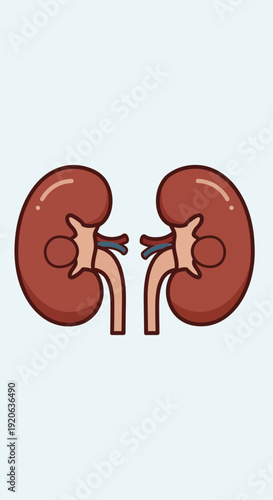 Cartoon illustration of two human kidneys with blood vessels and ureters.