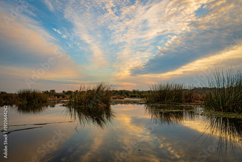 Sunrise Over Master's Tract in Hastings, Florida