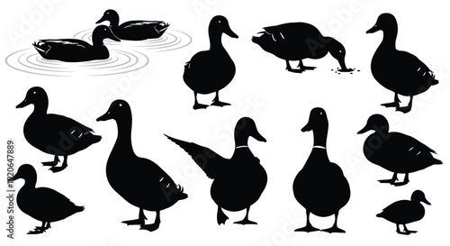 Collection of various black duck silhouettes depicting different poses and actions in nature