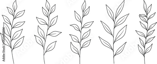 Black and white leafy stems illustration set
