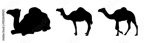 Solid Black Camel Silhouette Vector Illustration Isolated on White Background, Desert Animal Graphic Icon, Minimal Flat Design for Travel, Safari, Eid Branding Template
