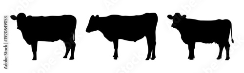 Solid Black Cow Vector Illustration, Farm Livestock Cattle Silhouette Graphic, Minimal Flat Design for Eid al-Adha, Agriculture Logo, Isolated Editable Template