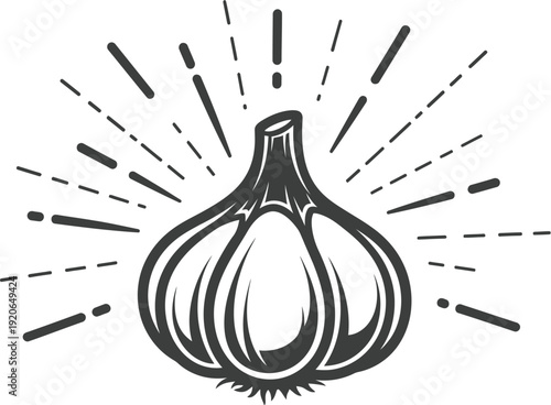 Garlic bulb illustration for food and cooking design