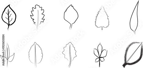 Set of leaves silhouettes isolated on transparent background