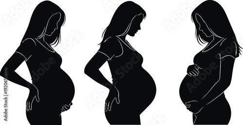 Pregnant woman silhouette set showing maternity stages, motherhood pregnancy concept, expecting baby journey illustration, female body profile design