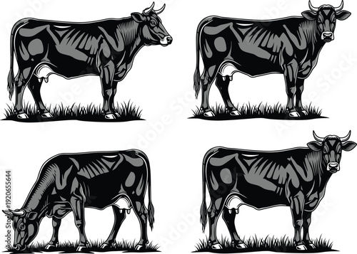 Black and White Cow Vector Set in Engraving Style Featuring Cattle Grazing in Grass for Dairy Farm, Butchery, and Organic Food Branding