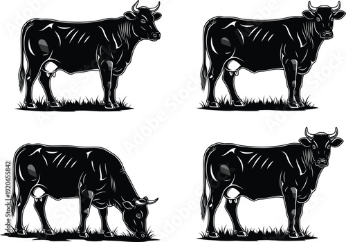 Black and White Dairy Cow Silhouettes Set Featuring Different Standing and Grazing Poses for Farm, Dairy Industry, and Organic Meat Branding Graphics