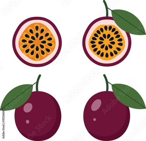 Fresh Whole and Halved Passion Fruit Vector Set with Purple Skin and Seeded Yellow Pulp for Tropical Food, Juice, and Healthy Dessert Ingredient Designs