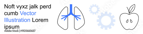 Health, wellness, education, anatomy, nutrition, medical learning. Lungs illustration with gears and apple. Health and wellness through anatomy and nutrition
