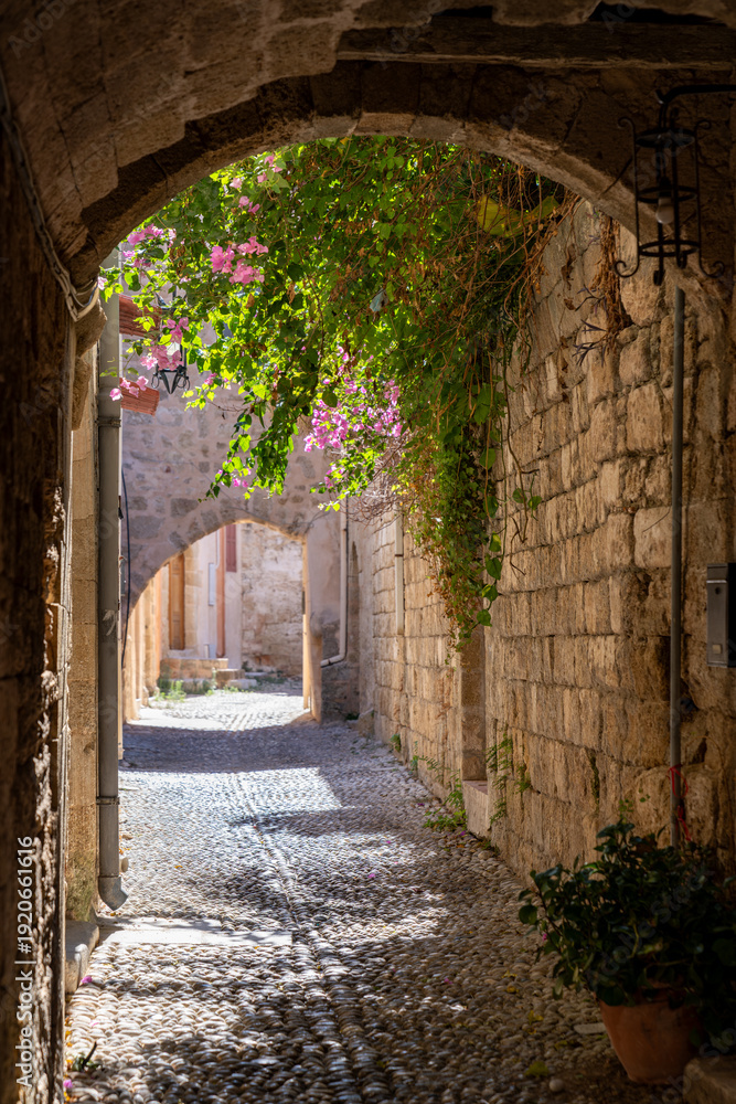 Obraz premium Medieval cobblestone alley with blooming bougainvillea and stone arch in Rhodes