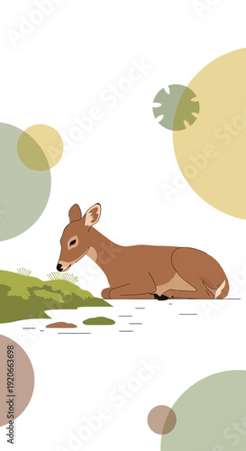 Gentle Fawn Resting Amidst Soft Abstract Natural Background