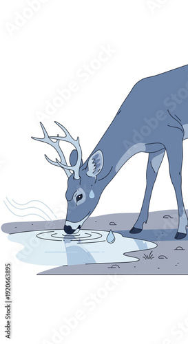 Graceful Deer Quenches Thirst From Pristine Water Source