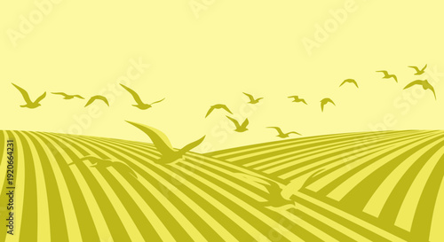 Golden Harvest Fields Under A Sky Filled With Soaring Birds