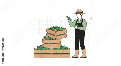 Harvest Bounty Farmer Inspecting Freshly Picked Cucumbers In Wooden Crates