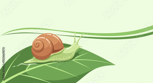 Illustrative Snail Crawling on Green Leaf Minimalist Style