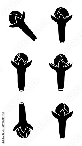 Black Silhouette Cloves Spice Icon Set, Isolated on White Background