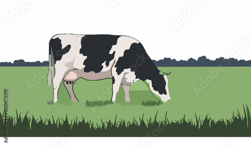 Black and white cow grazing in grassy field vector illustration
