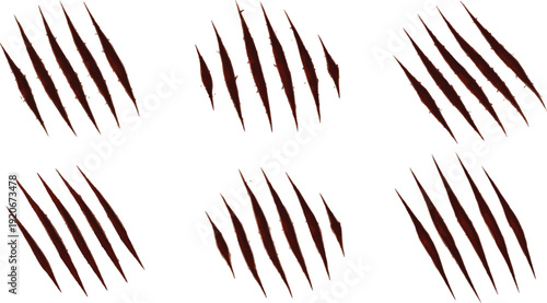 animal Claw scratches mark set. Cat tiger scratches paw shape. isolated on White background
