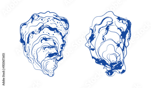 Abstract Mollusk Shell Illustration Set. Blue Grunge Line Art Oyster Shapes with Fluid Organic Lines Marine Nature Texture Minimalist Ocean Design for Print Branding Textile and Background