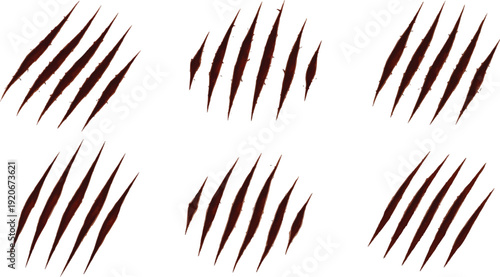 animal Claw scratches mark set. Cat tiger scratches paw shape. isolated on White background