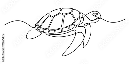 A continuous line art drawing of a sea turtle swimming gracefully through the ocean waves Vector, illustration