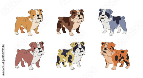 Six adorable English bulldog puppies with different coat colors and patterns standing in two rows on a plain white background.