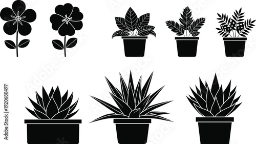 Set of black silhouettes featuring various indoor houseplants and decorative flowers in pots, isolated on white background for graphic design.