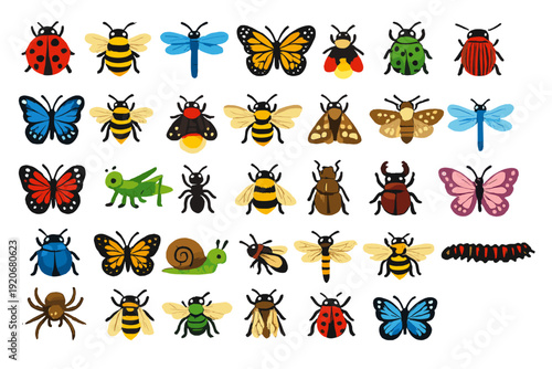 Many colorful insects displayed in a grid format showing different types and species for educational purposes