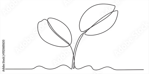 A simple continuous line drawing of a small plant sprout with two leaves on white background. Vector, illustration