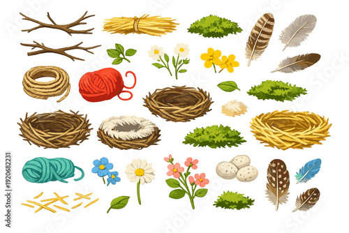 Different types of nests and natural materials for crafting found in nature's setting